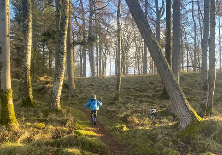 lost path applecross