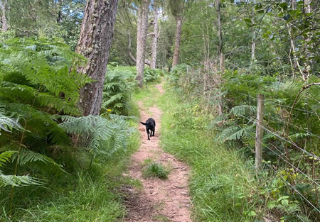 river walk applecross
